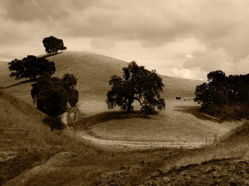 Atomic Habits - Thay đổi Tí hon