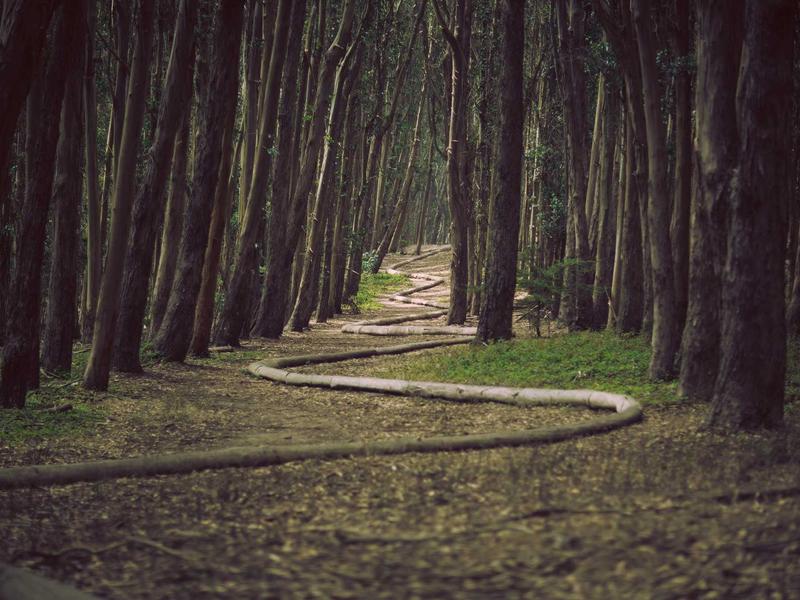 ChatGPT Prompt Engineering