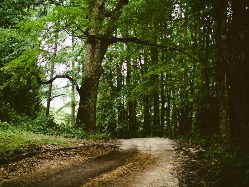 Mindfulness — Thiền định cho người bận rộn