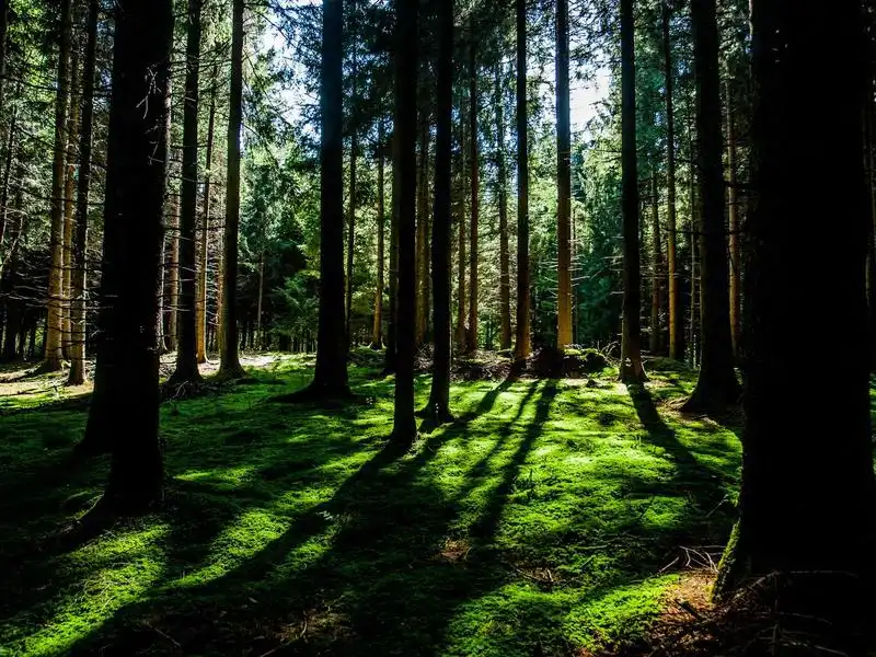 Xây dựng thương hiệu cá nhân trên MXH