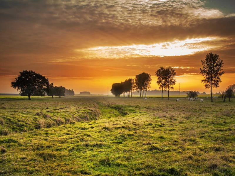 Python cho Data Science